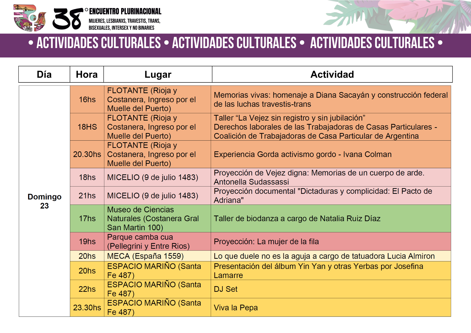 Actividad Cultural 5